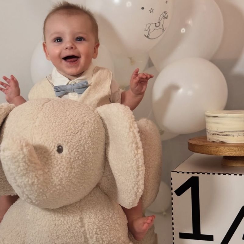 schommelpaard olifant teddy taupe nattou, wipstoel baby, baby bouncer teddy olifant